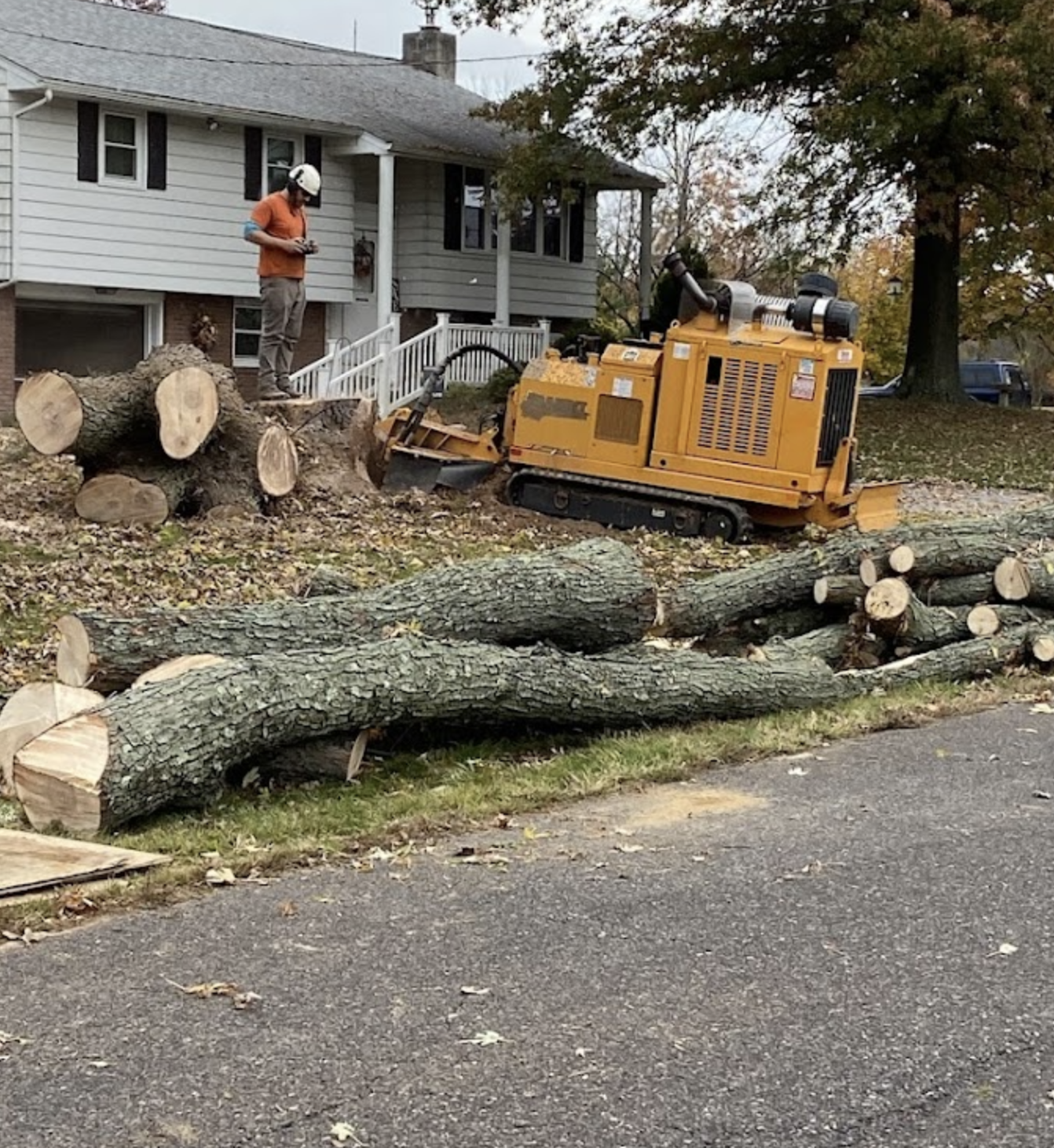 Removed Tree in Downingtown, PA