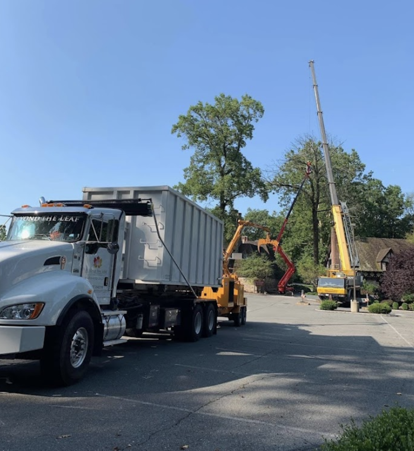 Truck & Crane for Tree Removal